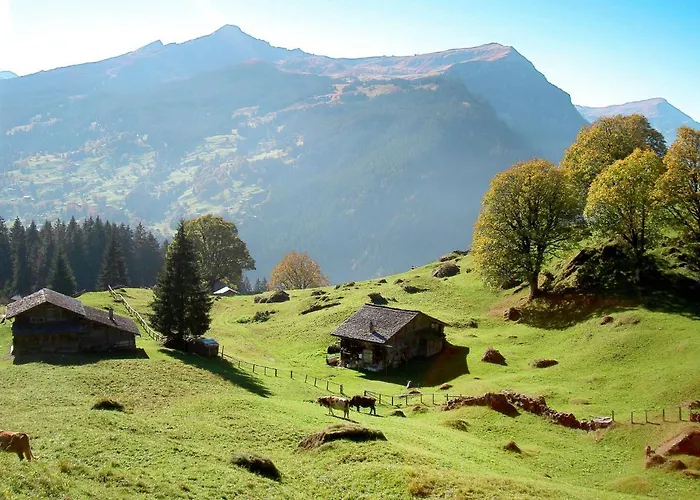 Apartment Bodmisunne By Interhome *