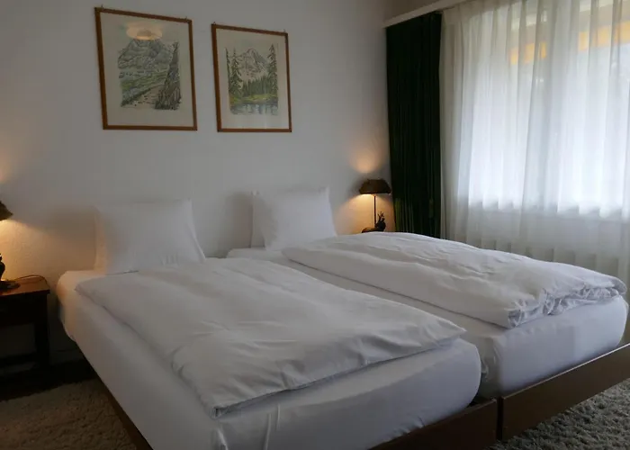 Bodmisunne By Interhome Apartment Grindelwald