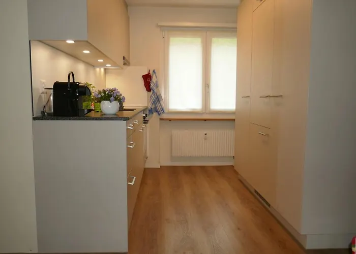 Bodmisunne By Interhome * 格林德瓦