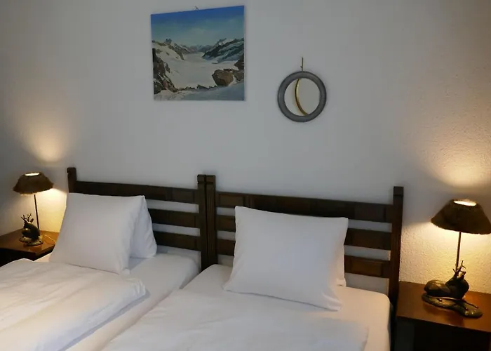 Bodmisunne By Interhome 格林德瓦