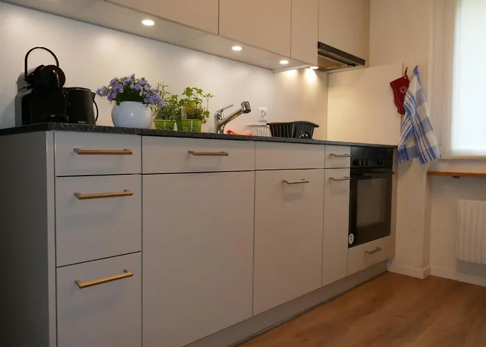 Bodmisunne By Interhome