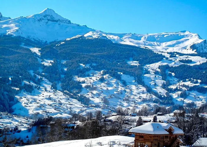 Bodmisunne By Interhome Daire